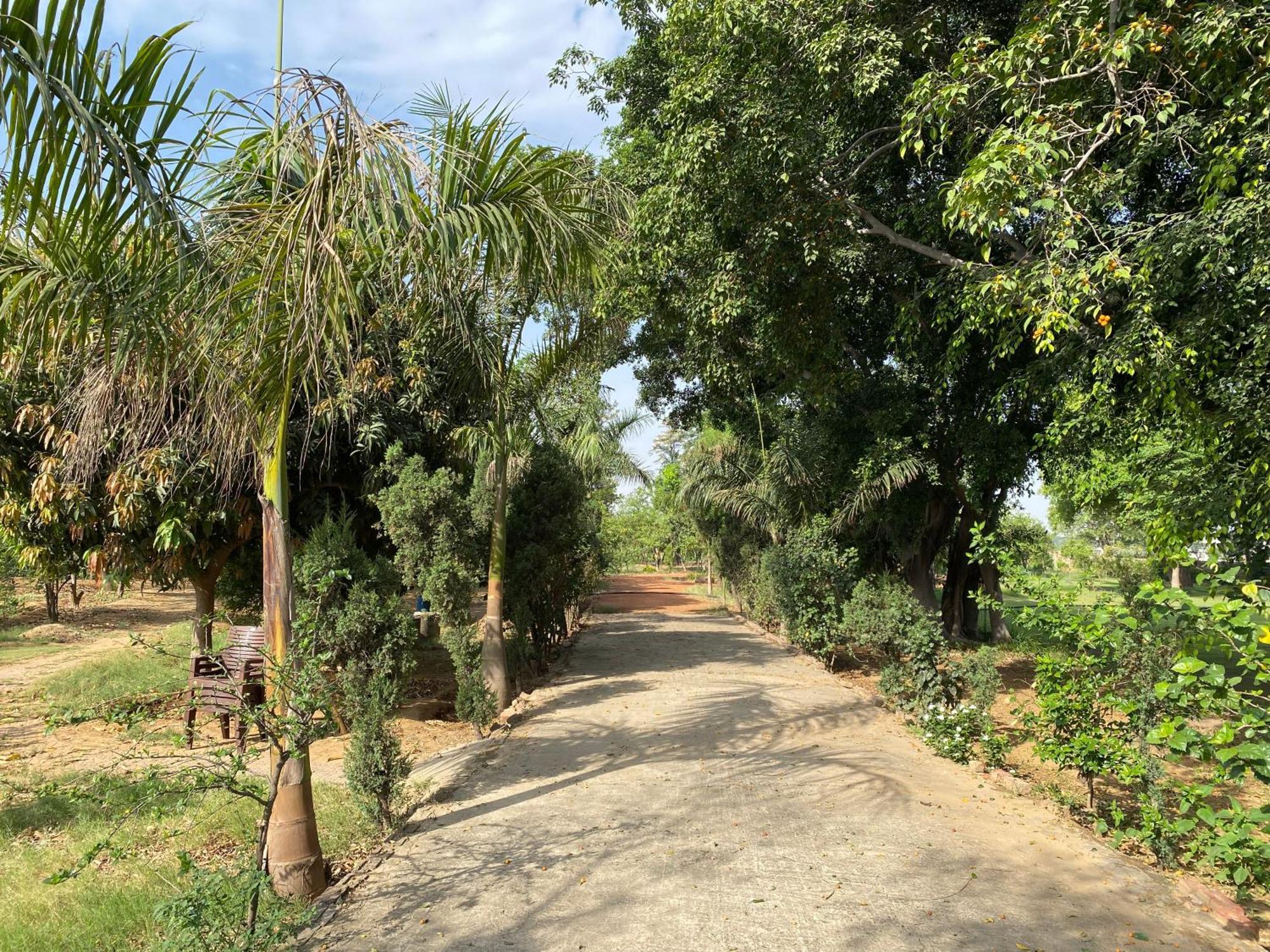 Вилла Orchard At Sarai Гургаон Экстерьер фото